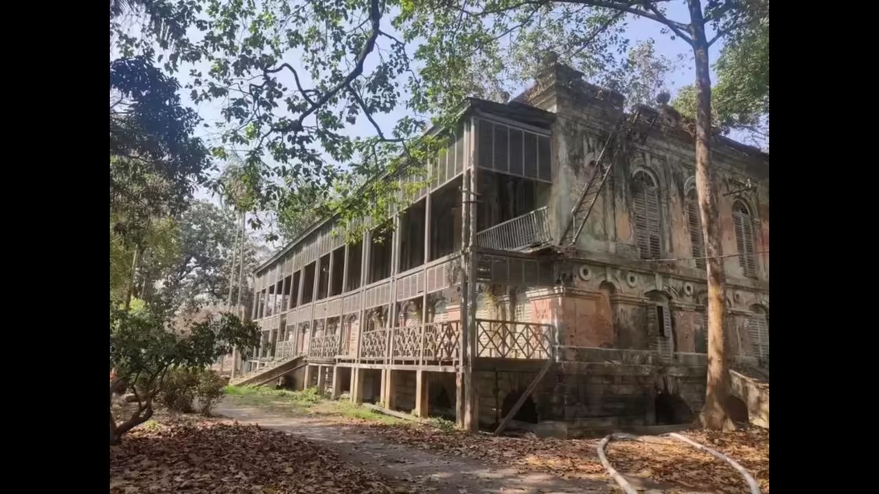 Green Revival: India’s Biggest CSR Restoration Blossoms at Kolkata’s Botanic Garden