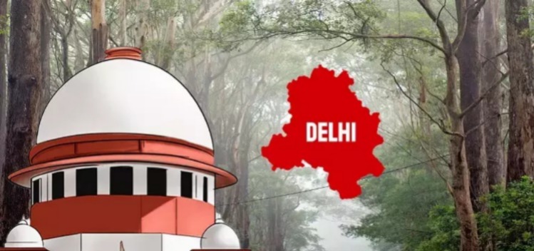 Planting Trees Key To Delhi’s Clean Air Future, Says Supreme Court
