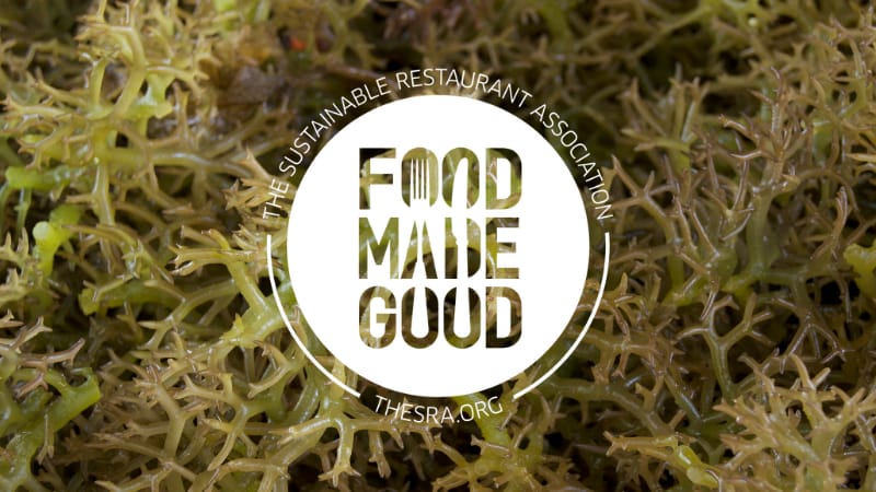 Saturday Feeling: Archives Unlock Everyday Stories And Seaweed Inspires Modern Menus