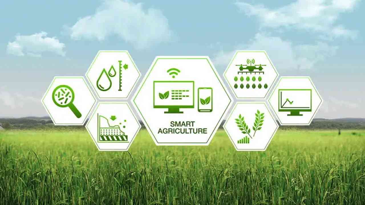 Market Nears Bottom: 3 Sectors Poised for Growth in FY26