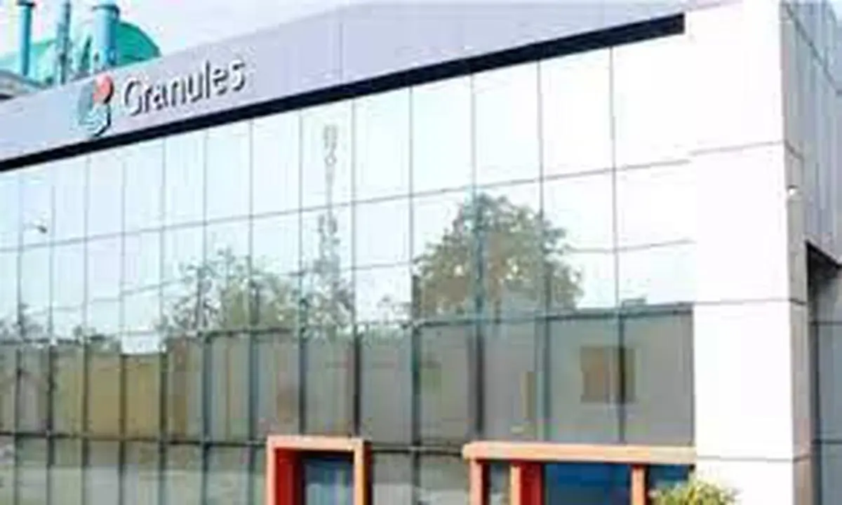 Granules India Ltd Approves Internal Restructuring Plan for US Subsidiaries