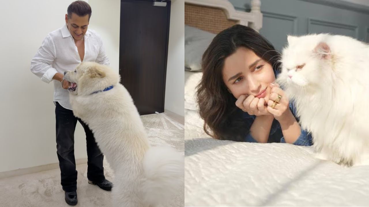Bollywood Stars Celebrate National Pet Day With Their Adorable Paw-Friends Online