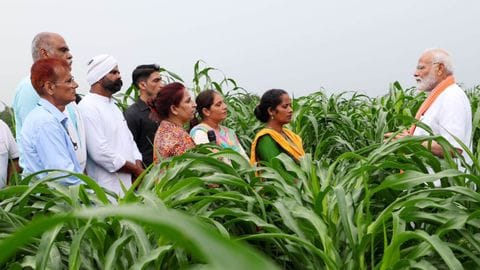 India Unveils Groundbreaking National Mission on High-Yielding Seeds in 2025 Budget
