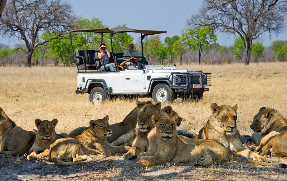 Journey to Zimbabwe: Where Luxury Meets Nature at Victoria Falls and Beyond!