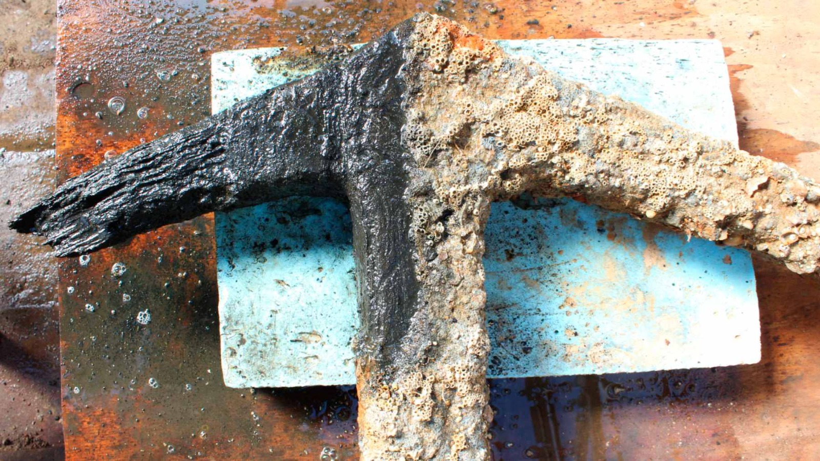 Lost at Sea, Found in Sand: 2,000‑Year‑Old Roman Anchor Emerges From North Sea Depths