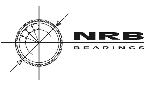 Leadership Transition: NRB Bearings Appoints Dhara Dhedhi As Interim CFO
