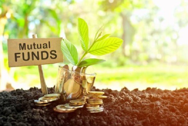 Rocket or Rollercoaster? Must You Leap onto the Momentum Mutual Fund Bandwagon Today?