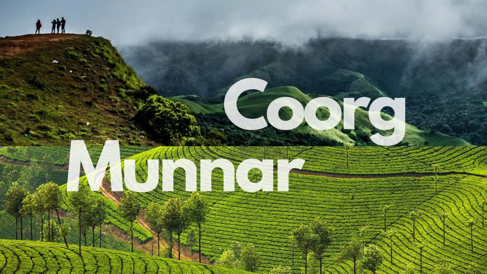 Munnar Vs Coorg: A Nature Lover’s Guide