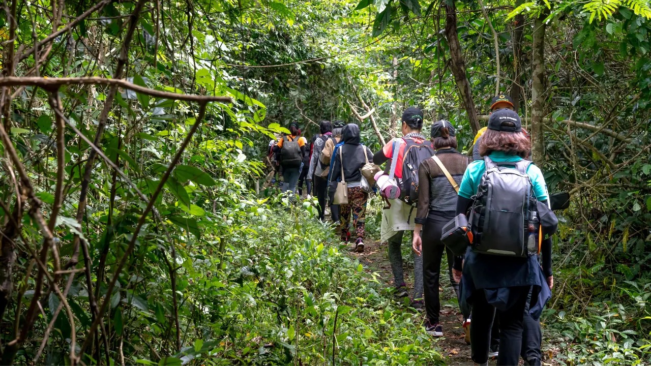 Seven Lush Monsoon Treks Near Hyderabad Within 250 KM to Explore