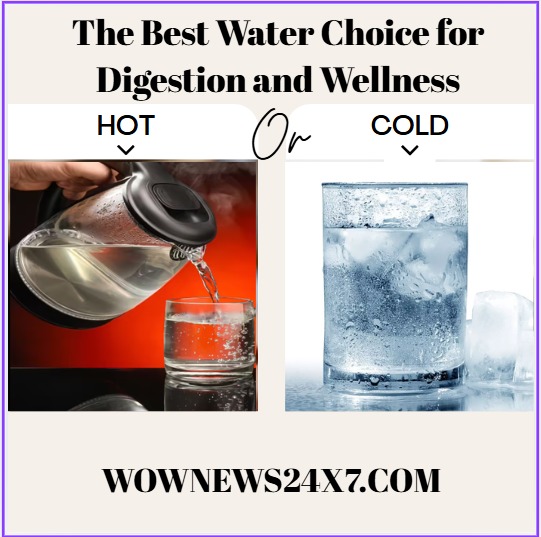 Hot vs Cold Water: Experts Decode the Best Choice for Digestion and Gut Health