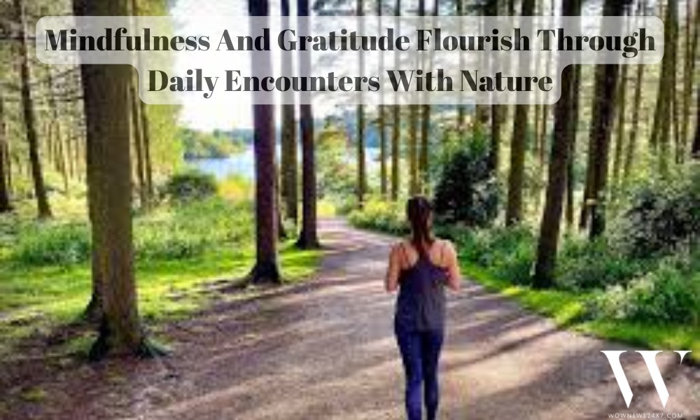 How Nature Heals: Emotional Connection With Green Spaces Found To Be Key Driver Of Happiness