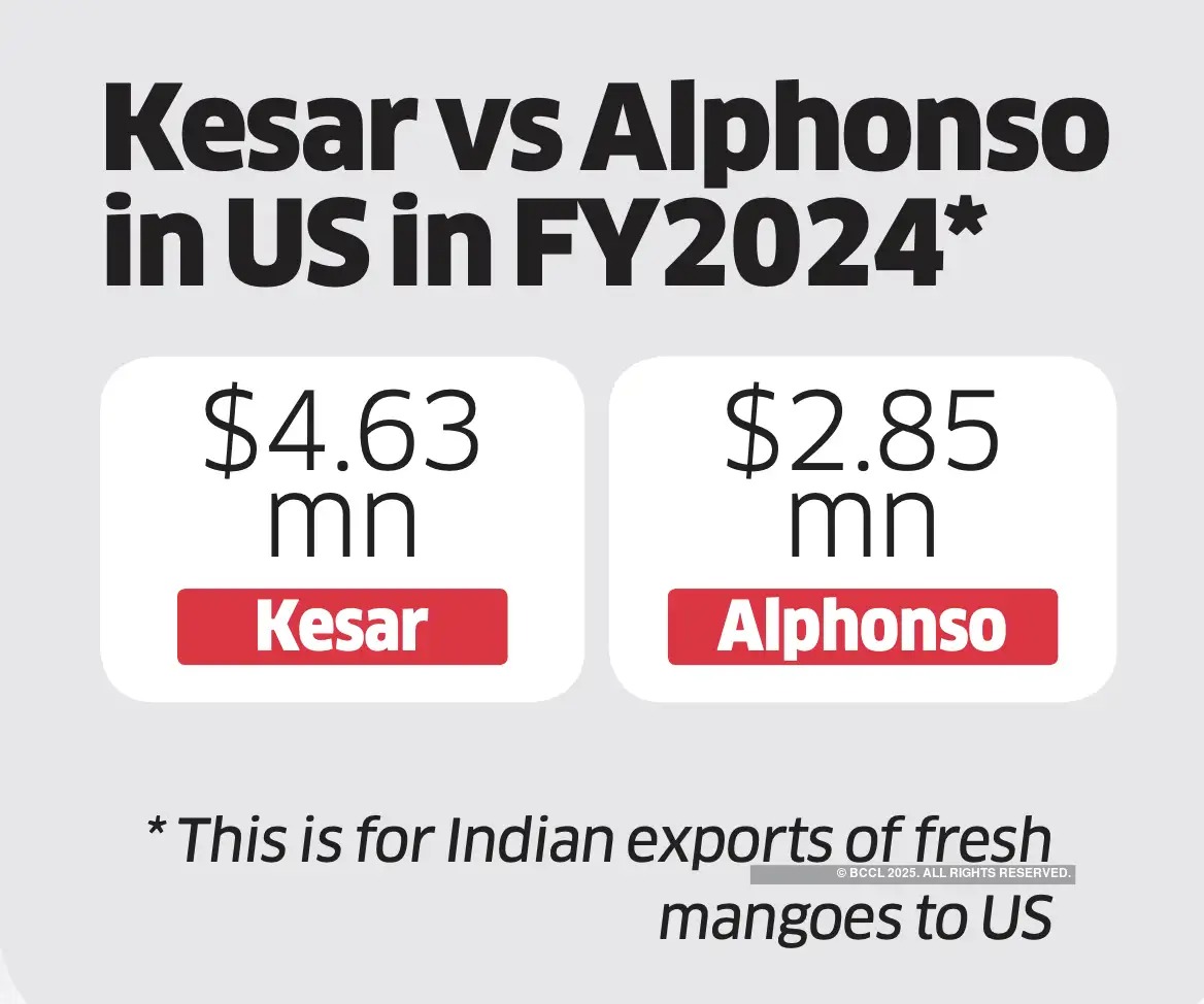 Kesar Mango Takes the Throne: India’s Affordable Export King