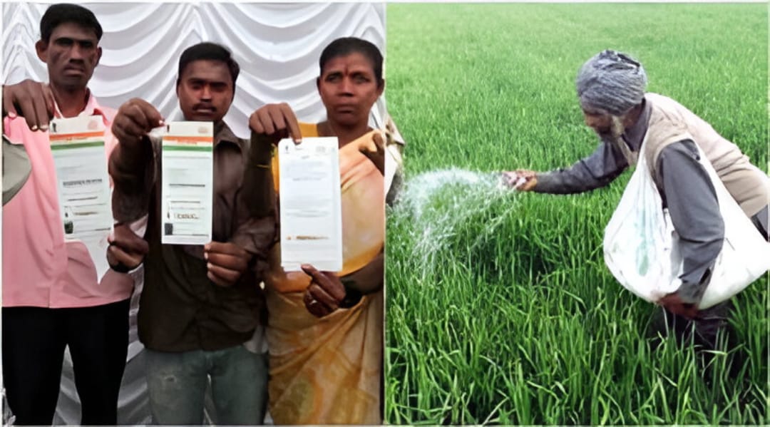 The Smart Way to Feed Farms: Direct Fertilizer Subsidies Take Center Stage, Empowering Farmers