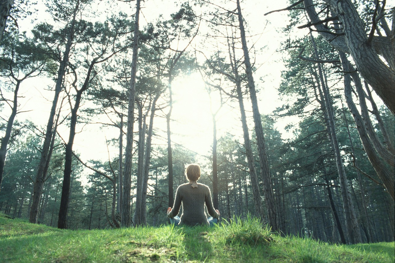 Forest Bathing Finds Roots In India As Urban Burnout Drives Nature Escapes
