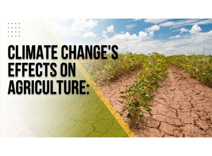 India Prepares for Over-Average March Temperatures: Challenging times for Agricultural Crops