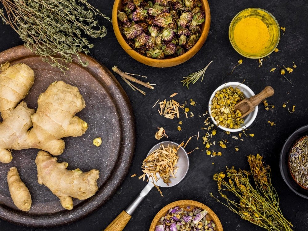 Rooted In Resilience: Ayurveda’s Recipe For Seasonal Shielding