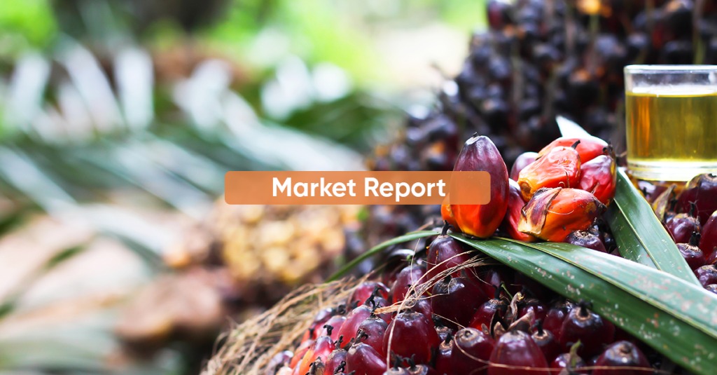 Palm Oil Futures Retreat As Export Outlook Softens, Market Eyes Next Cues