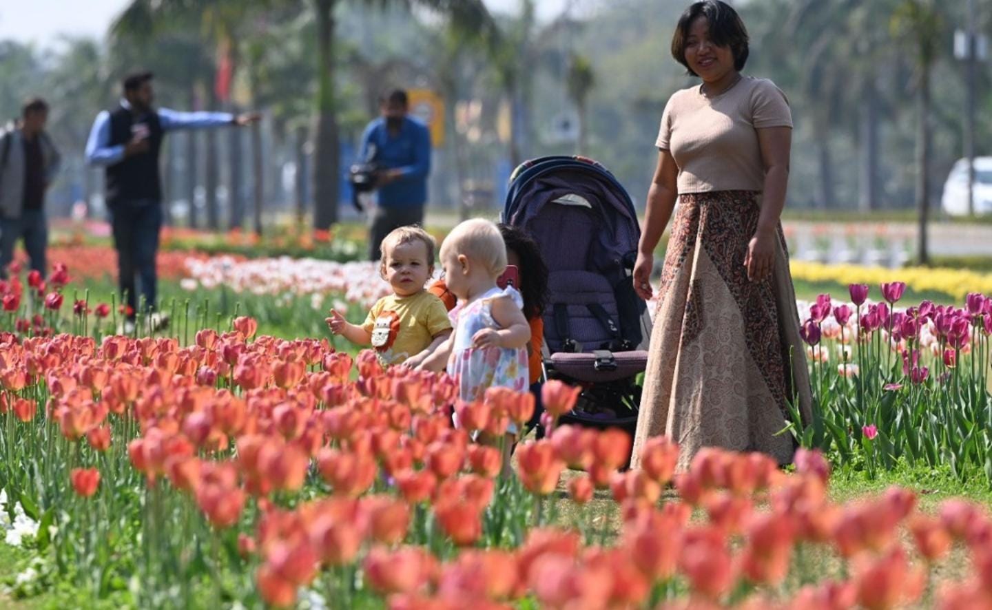 A Blooming Affair: NDMC’s Tulip Fest Captivates Capital