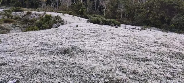 Munnar Freezes at -1°C, Tourism Booms Amid Stunning Winter Landscape