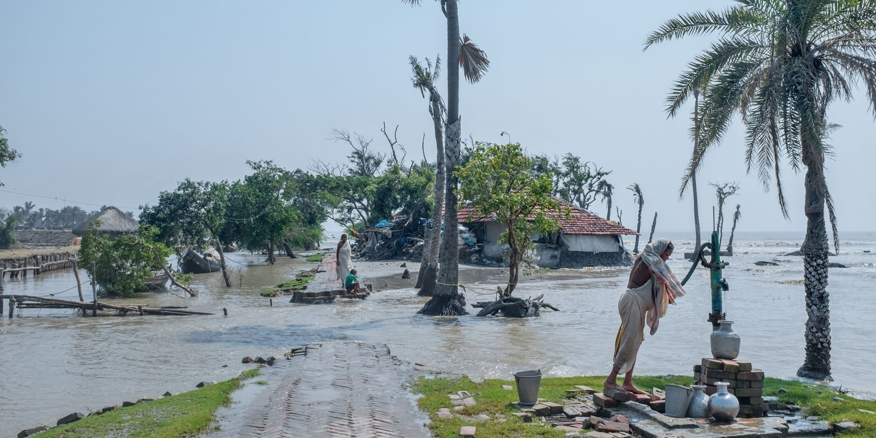 Sundarbans Shrinking: Climate Change Threatens World's Largest Mangrove Forest