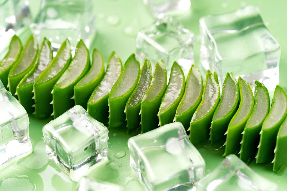 Unlock The Power Of Aloe Vera Ice Cubes For Skin That Glows Like Never Before