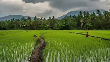 Monsoon Miracle? Crops, Confidence, and the Comeback Story of 2025