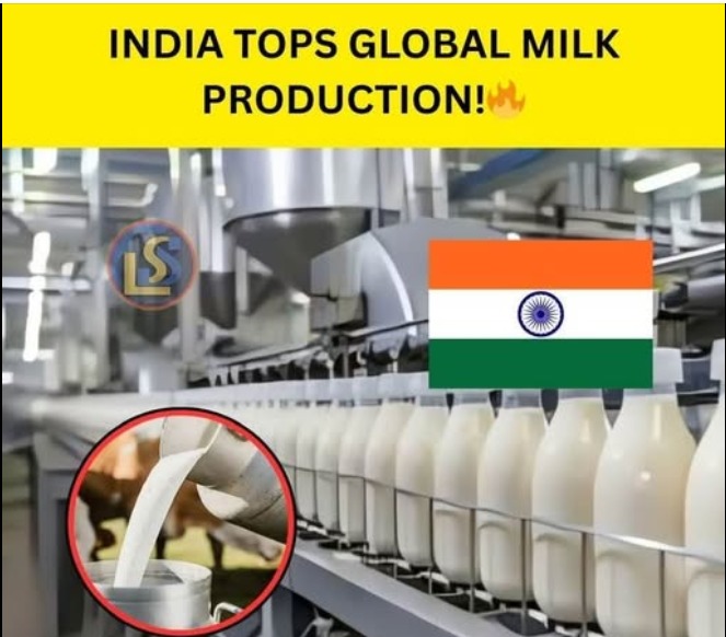 Moo-ving Ahead: How India Became the World’s Dairy Dynamo