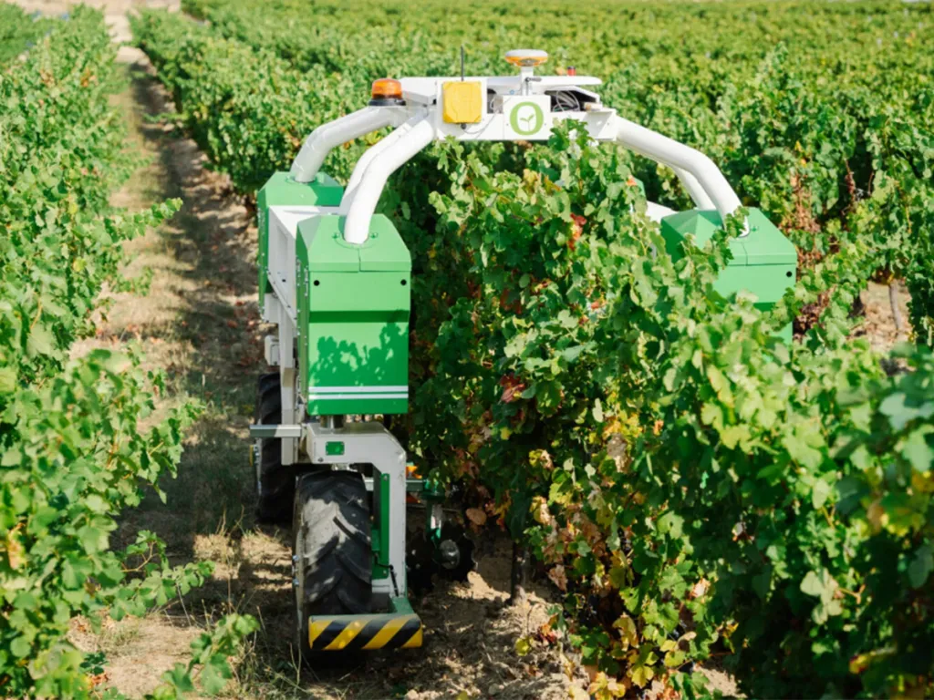Winery's Eco-Army Shows How Nature Trumps Robots in Farming