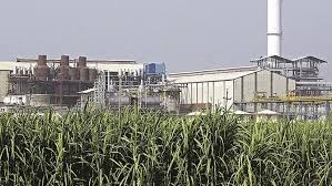 Bajaj Hindusthan Sugar Posts ₹995.9 Million Loss In Q2 Despite ₹11.53 Billion Revenue