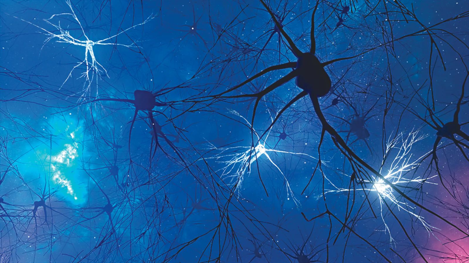 A Universe in a Cubic Millimeter: Scientists Peek Into the Brain’s Tiny Cosmos