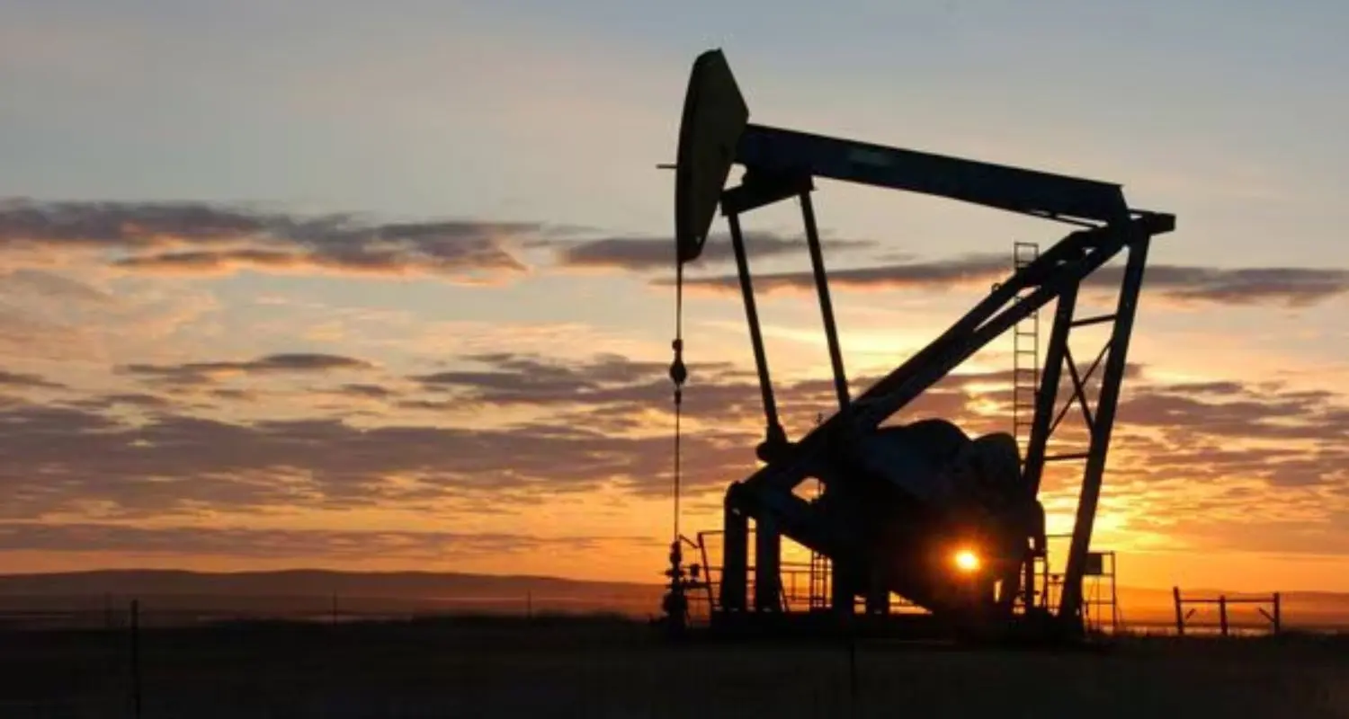 India's oil buffer intact, says Puri—Supply map gets daily 'war-room' scrutiny