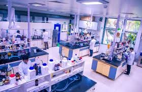 Strategic Realignment: Fermenta Biotech Approves Rs 190 Million Slump Sale To Subsidiary