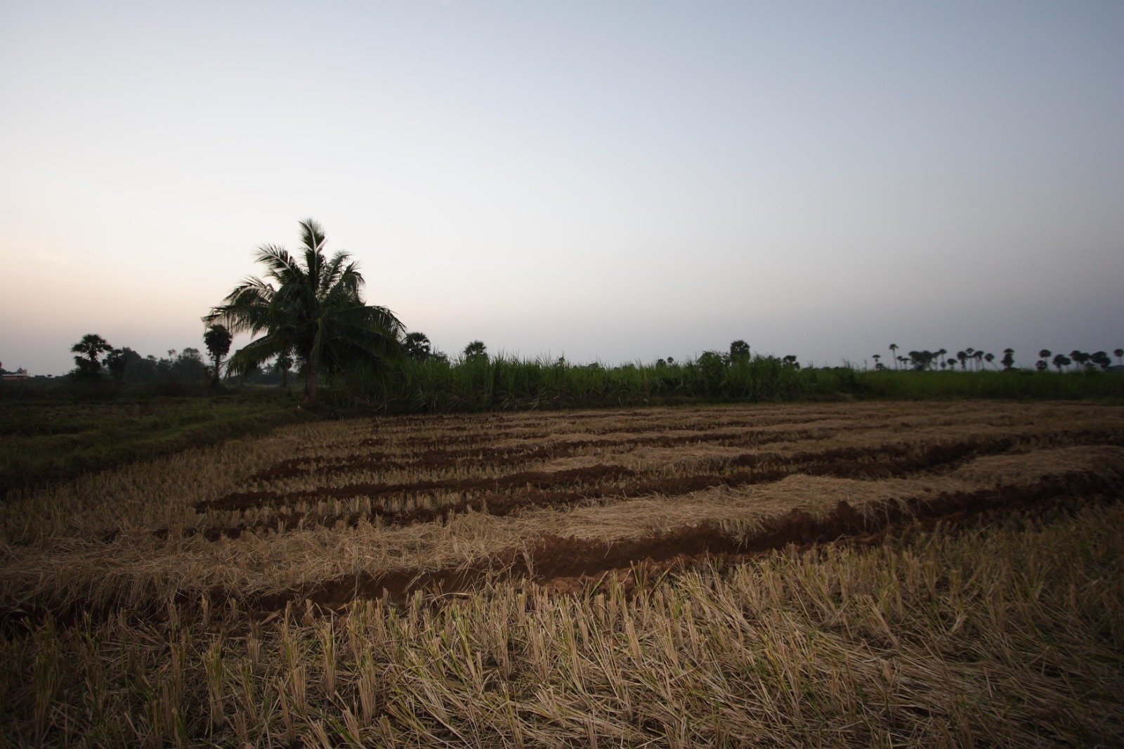 Land Rules 2.0: New Transfer Norms To Turn Idle Public Plots Into Revenue