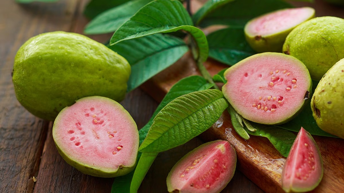 The Pink Guava Temptation: Kolkata’s Chaat That Warms Winter Evenings