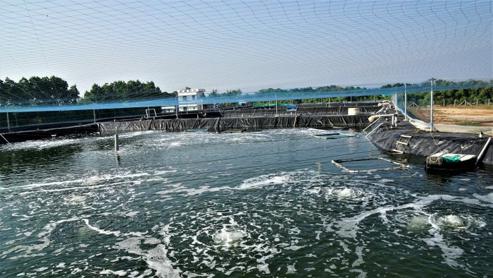 Minister Urges ICAR to Boost Tech Adoption in Fish Farming