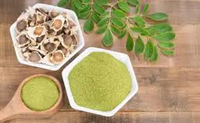 Nature’s Multivitamin: Moringa’s Mighty Powers Packed in a Pod Are Healing the World, One Spoon at a Time