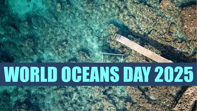 World Oceans Day 2025: UN Calls for Urgent Action to Protect Marine Ecosystems