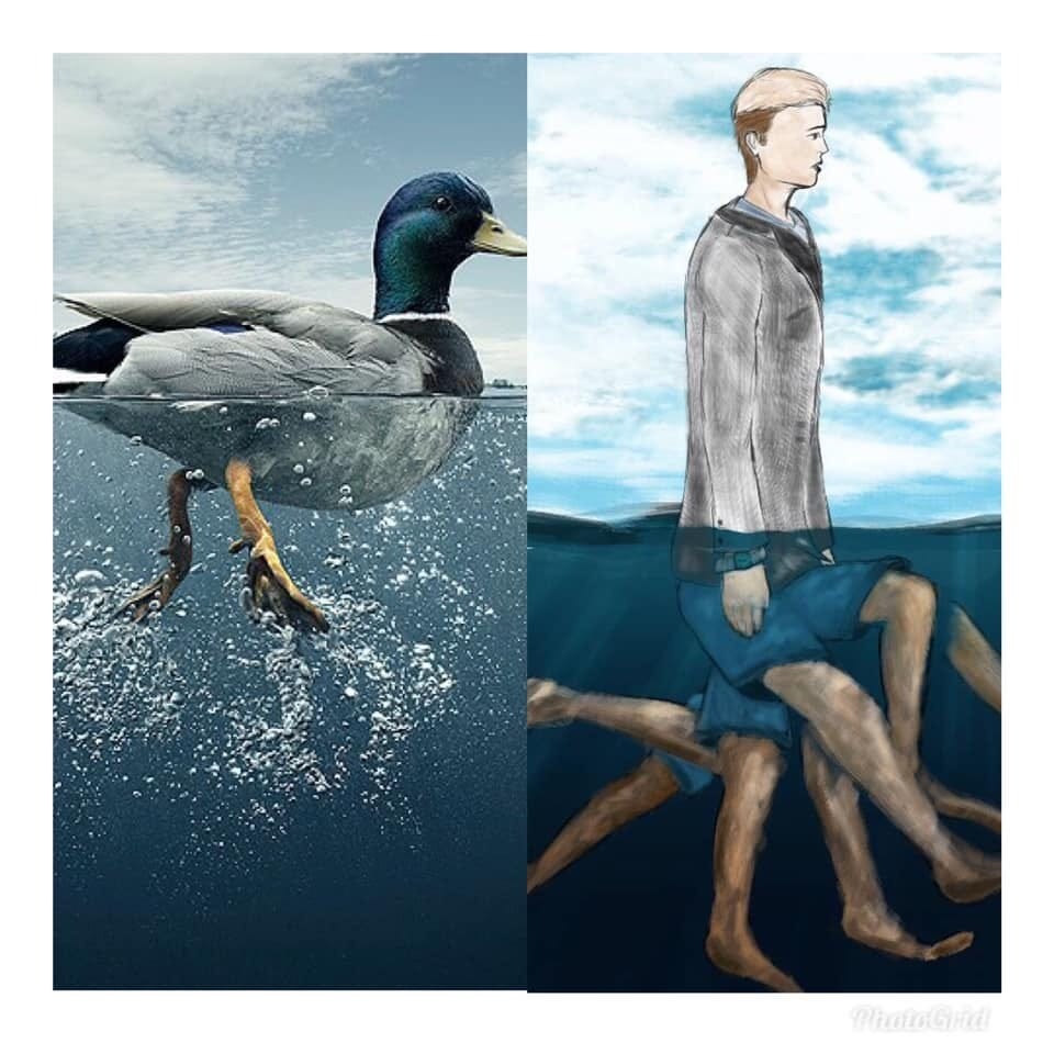 Overcoming Duck Syndrome: Six Strategies for Enhanced Mental Well-being