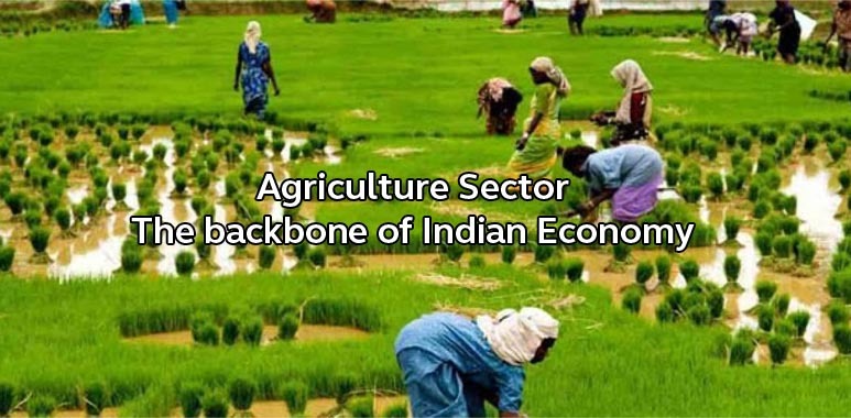 Against All Odds: India’s Agri Backbone Stands Tall in a Shaky World