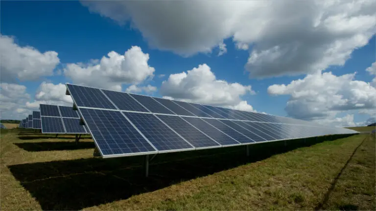 Waaree Energies Brings Home the Bling: Lands Whopping 410 MWp Solar Module Order