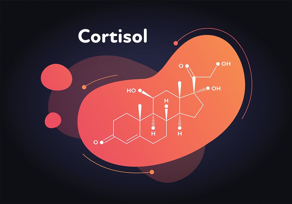 The Simplest Way To Lower Cortisol, According To A Longevity Expert