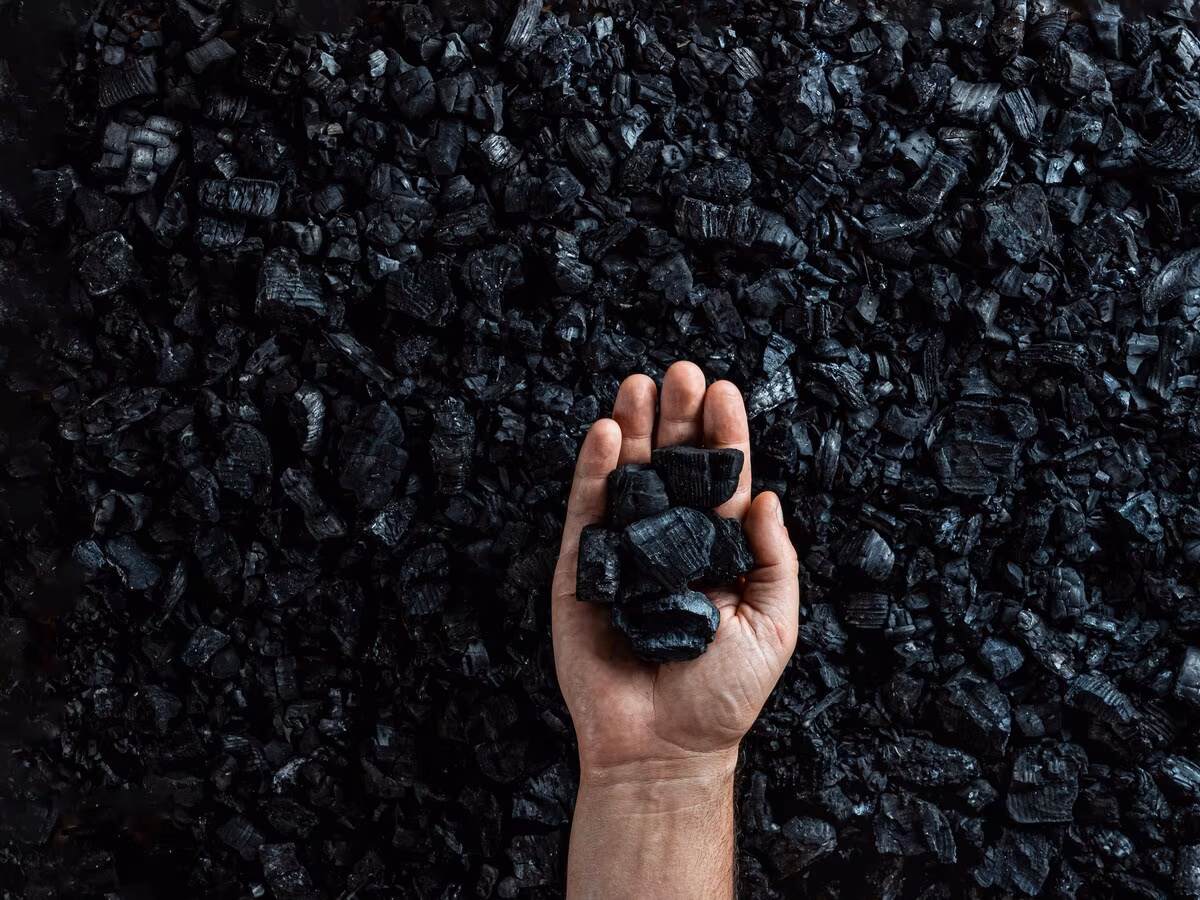 Dhruv Consultancy Bags ₹19.4 Million Rohne Coal Block Project Order