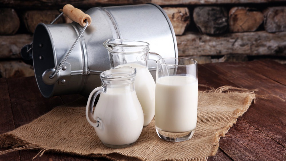 Milking Success: India’s Dairy Sector Eyes New Heights in 2025 and Beyond