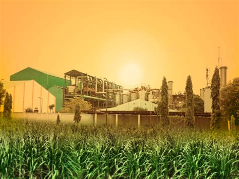 SBEC Systems Commences Installation of Solar Plants to Strengthen Renewable Energy Focus