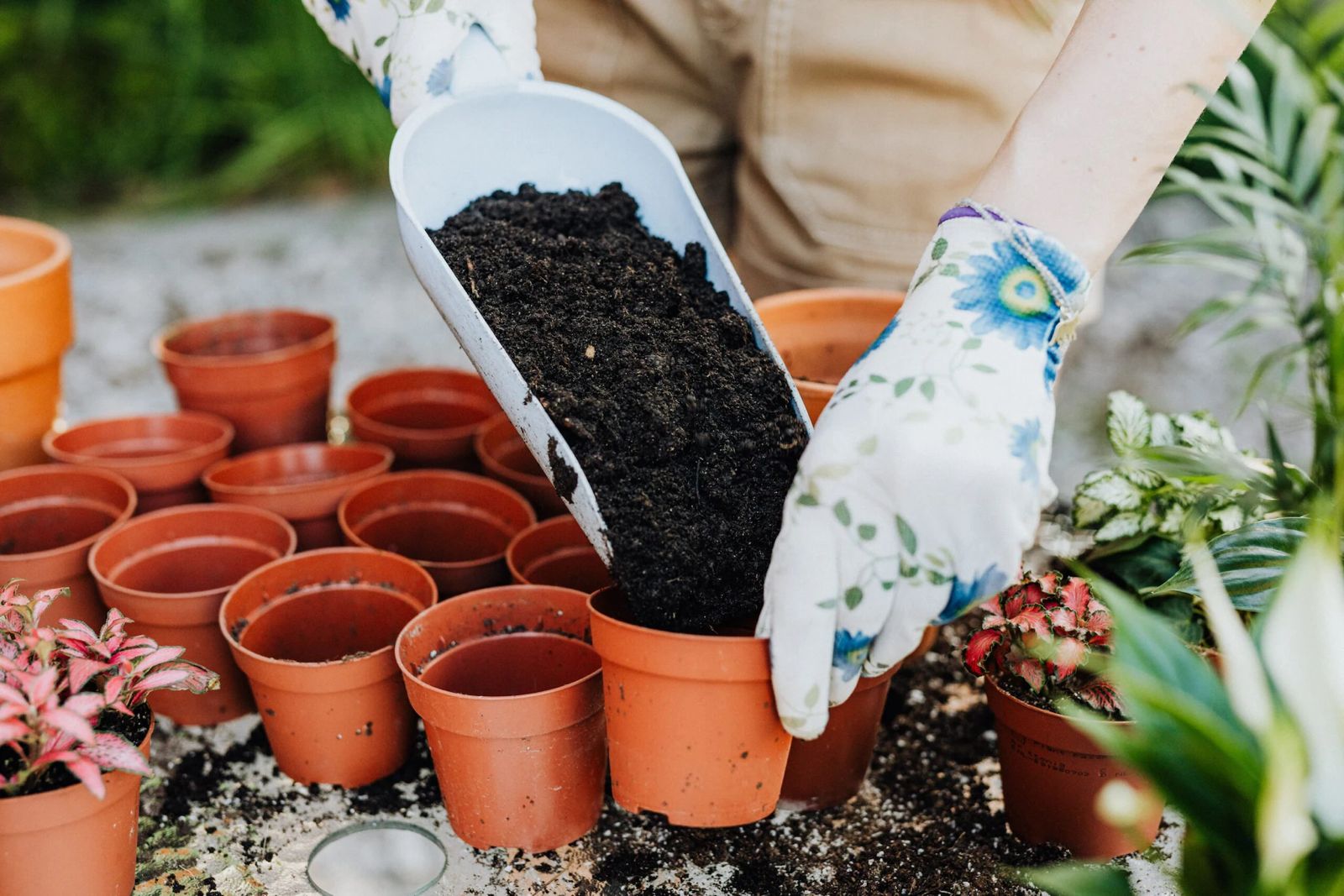 Is This Forgotten Kitchen Waste Actually a Multi-Purpose Household Marvel?