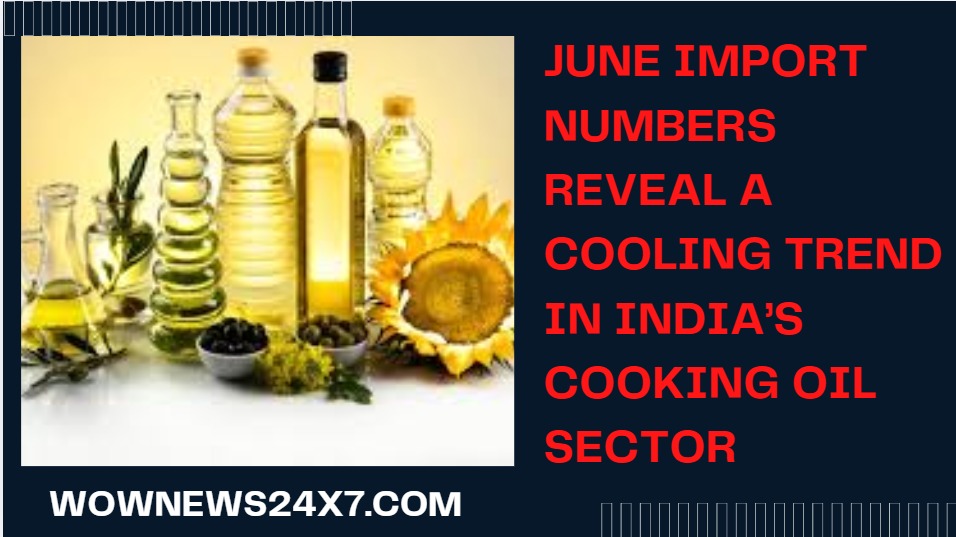 India’s June Vegetable Oil Imports Drop Amid Shifting Market Demand