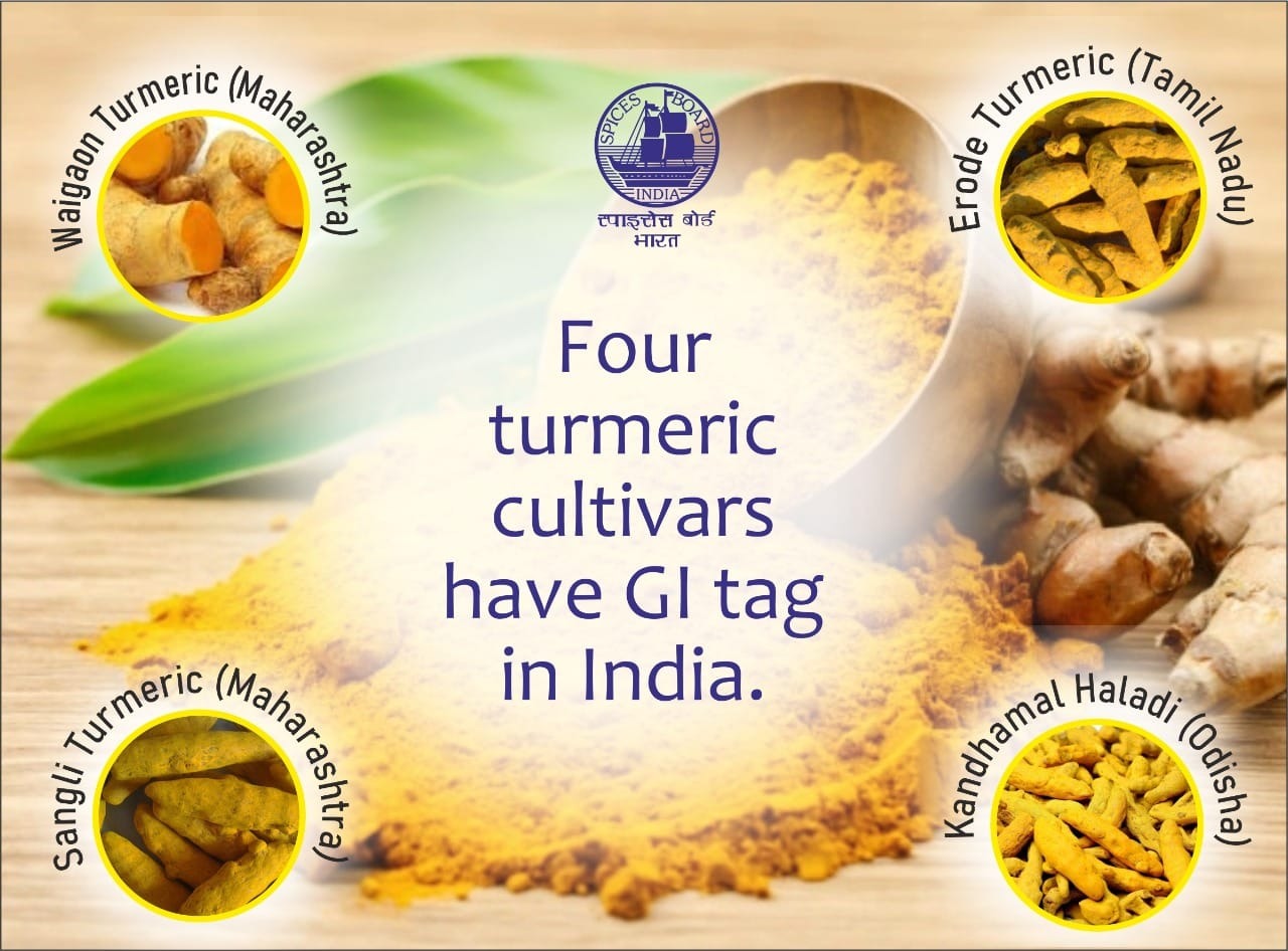 Golden Spice, Global Prize: India's GI-Tagged Turmeric Conquers Export Markets