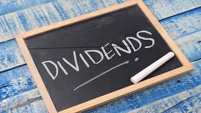The Dividend Wave: Bharat Electronics and Sun TV Network Ride High