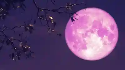 Spring’s First Full Moon: The Pink Micromoon Graces the Heavens Tonight