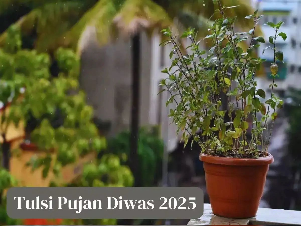 Tulsi Meets Christmas: India Celebrates Faith And Festivity Together